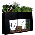 Hydroponic Fish Tank Garden, 10 Gallon (B01B4ZRVR4), Amazon Price Tracker, Amazon Price History